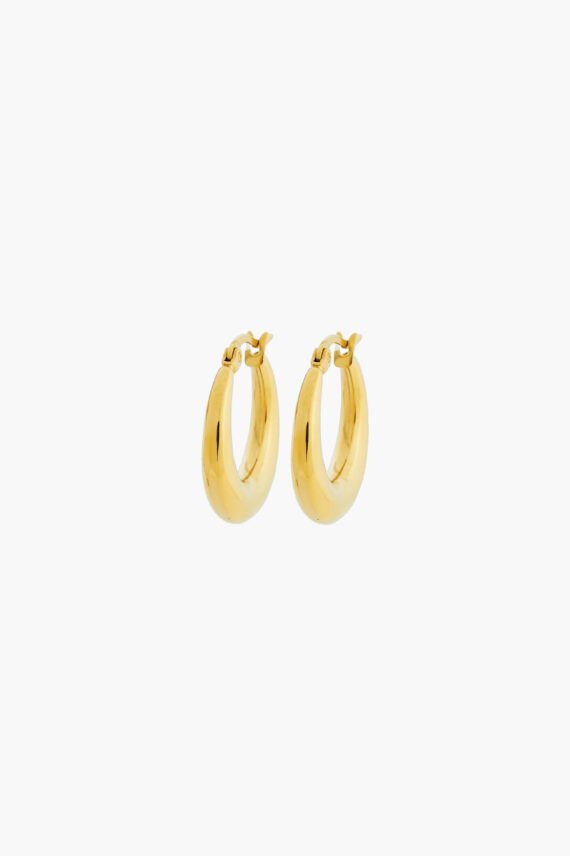 Flow Hoops S Gold