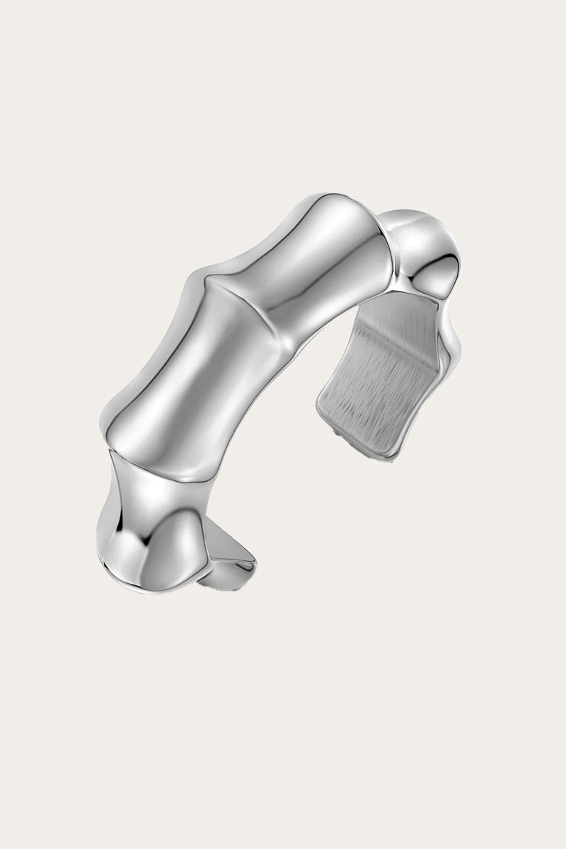 Cane Bangle Steel - Bilde 2