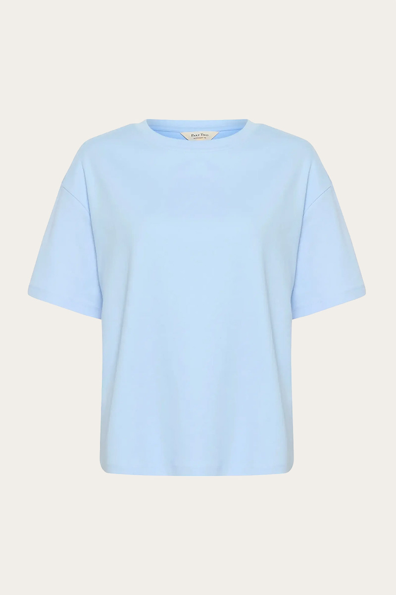 JaminaPW TS Windsurfer