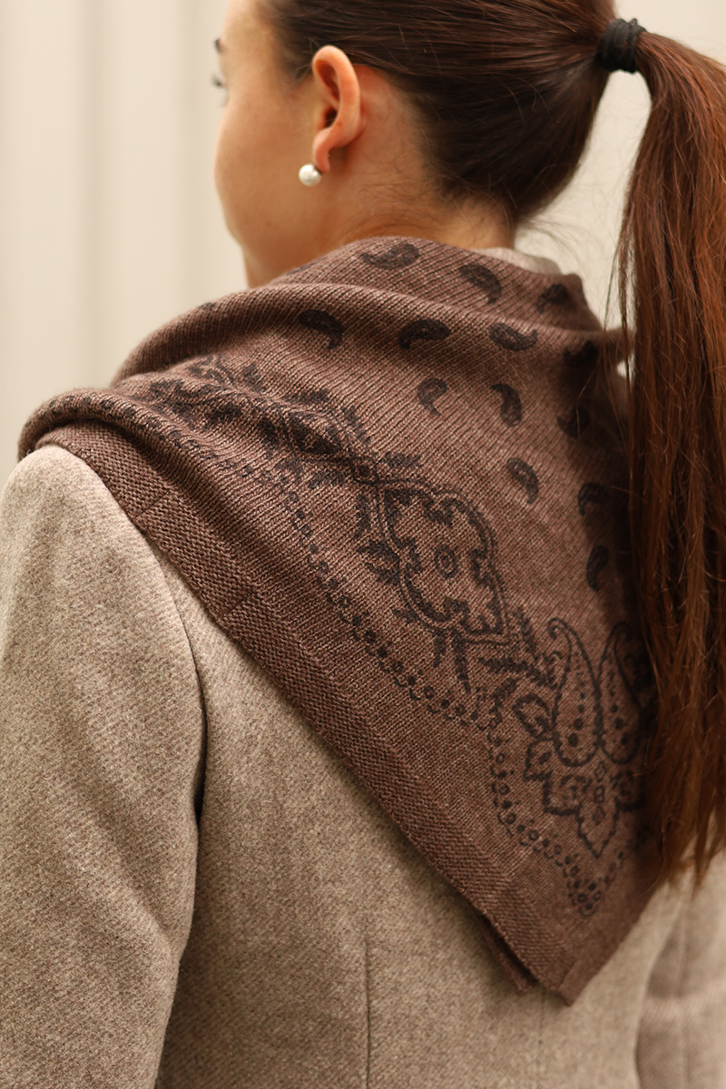 Adelina Paisley Knit Scarf Brown Melange